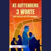 Buchcover Karl-Theodor zu Guttenberg: 3 Worte. Neue Notizen aus der Gegenwart