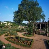 Park Sanssouci, Schloss Charlottenhof, Blick in Rosengarten mit Schinkel-Laube