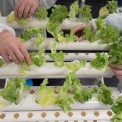 Veranstaltungen in Berlin: Dragana Bulut: Remake