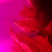 Grafik Header Spielzeit 25/26