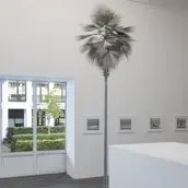 Veranstaltungen in Berlin: Fotografisch betrachtet