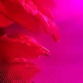 Grafik Header Spielzeit 25/26