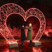 Impressionen von Christmas Garden 2025