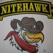 Nitehawk
