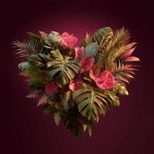 Valentinstag-Dinner unter Palmen