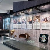 Ansicht der temporären Ausstellung "Ts'uu – Zeder. Von Bäumen und Menschen" im Humboldt Forum