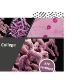 Veranstaltungen in Berlin: 7th International Conference of the European College of Veterinary Microbiology (ECVM)