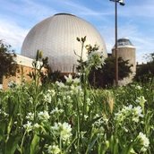 Planetarium Prenzlauer Allee