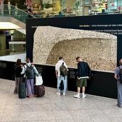 Die Welle - Exponat von Iris Schieferstein im Ostbahnhof