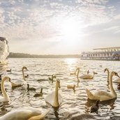 Symbolfoto Tegeler See