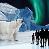 Polar Experience