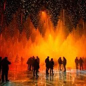 DARK-MATTER-Forest-Winterlights25 DARK-MATTER-Forest-Winterlights25