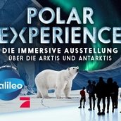 Polar Experience Polar Experience