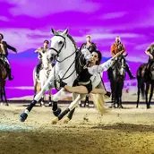 Beeindruckende Akrobatik