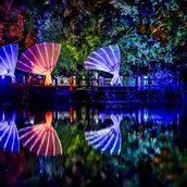 Britzer Gartennacht