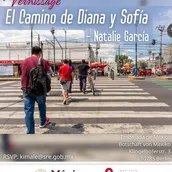 El Camino de Diana y Sofía_Flyer