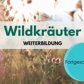 KEY VISUAL Wildkräuter Weiterbildung für Fortgeschrittene