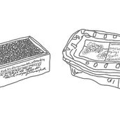 Titelmotiv der Ausstellung Grains of Memory – Kernfragen.