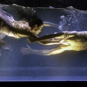 Dido & Aeneas von Sasha Waltz