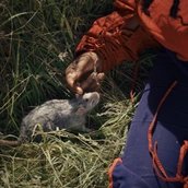 VISUAL Workshop: Queer Trash Ecologies - Feeling, Film, and Collective Imagination with Elisa Mohr