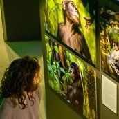 Blick in die Ausstellung