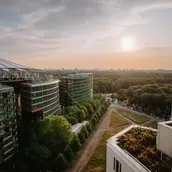 Blick auf den Tiergarten