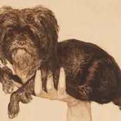 Max Klinger, Tjou-Tjou (Bildnis eines Hundes), 1883, Radierung und Kaltnadel, Staatliche Kunstsammlungen Dresden, Kupferstich-Kabinett
