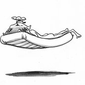 VISUAL Das Traumschiff