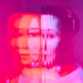 Drowned Dreams, Maria Sybilla Merian (1647-1717), 2024