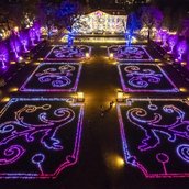 Impressionen von Weihnachten im Tierpark
