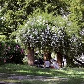 Helmholtzplatz, Prenzlauer Berg