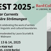 Poster LitFest 2025 - Ausschnitt