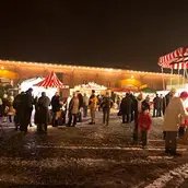 Bucher Weihnachtszauber