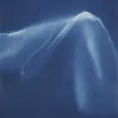 Veranstaltungen in Berlin: Führung durch die Ausstellung LUMEN