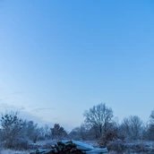 Veranstaltungen in Berlin: Ausstellung - WILDE SCHÖNHEIT
