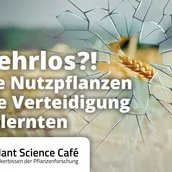 Wehrlos?!_Flyer