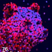 Das Festivalplakat der 76. Berlinale Key Visual 2026