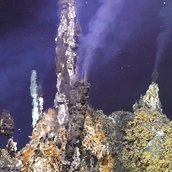 Inferno Vent with chimlets at ASHES Hydrothermal field with sulfide worms