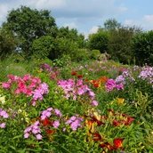 Garten Lüdke im Berliner Eiskeller im Bezirk Spandau