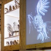 Exponate der Sonderausstellungen Zukunftsplan & ZUGvögel