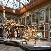 Museum für Naturkunde