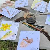 WORKSHOP Nature Journaling