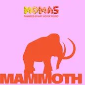 VISUAL Grand Opening von MAMMOTH @ MoMa5