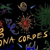 Veranstaltungen in Berlin: Siebdruck-Workshop: Weihnachtskarten