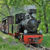 Dampfzug LUISE der Parkeisenbahn Wuhlheide