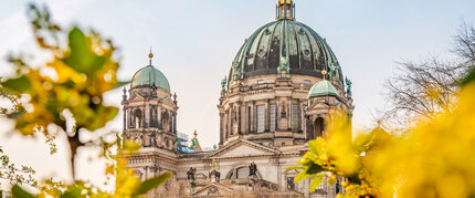 La catedral de Berlín en Berlín-Mitte con flores de primavera 