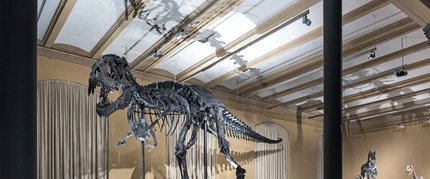 Scheletro del dinosauro Tristan a Berlino, Museo di Storia Naturale