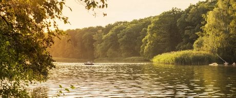 Mit dem Ruderboot auf dem Schlachtensee in Berlin