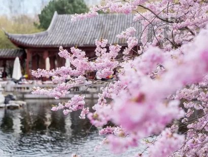 e_10fecdd140bfc17120a4f98ff1bc98b0_img-hopop