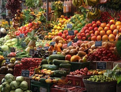 Food Futures: Global Seeds, Berlin Soil